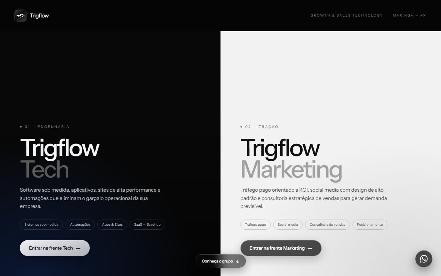 Tela inicial do site da Trigflow